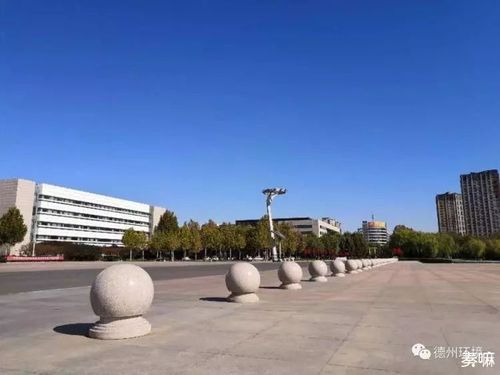 【德城区疫情昨日消息最新_德城区最近有雾霾吗】