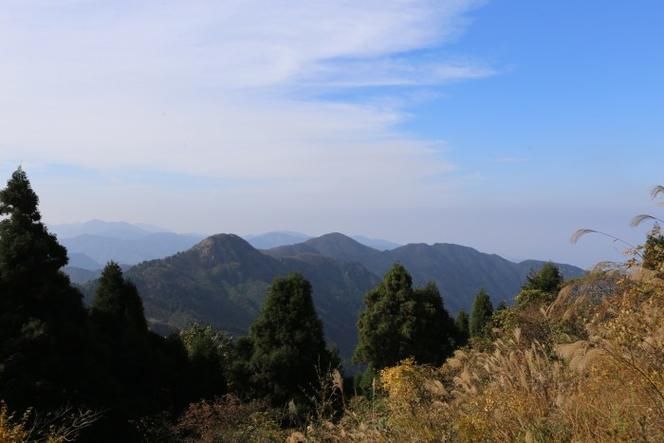  南岳区昨日新增破19:南岳区最新消息