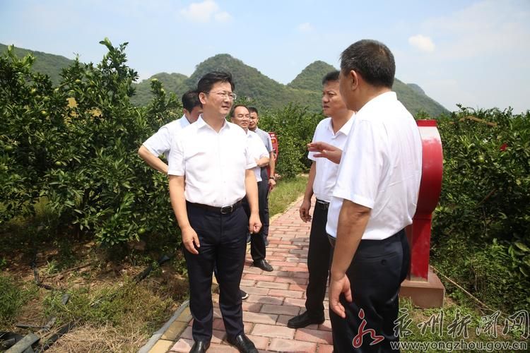 永州市回龙圩管理区为何新增疫情/永州市回龙圩管理区书记